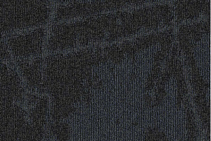 Ковровая плитка Milliken Arctic Survey shk 118-119 Blizzard фото  | FLOORDEALER